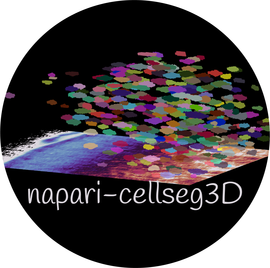 napari-cellseg3d Documentation - Home